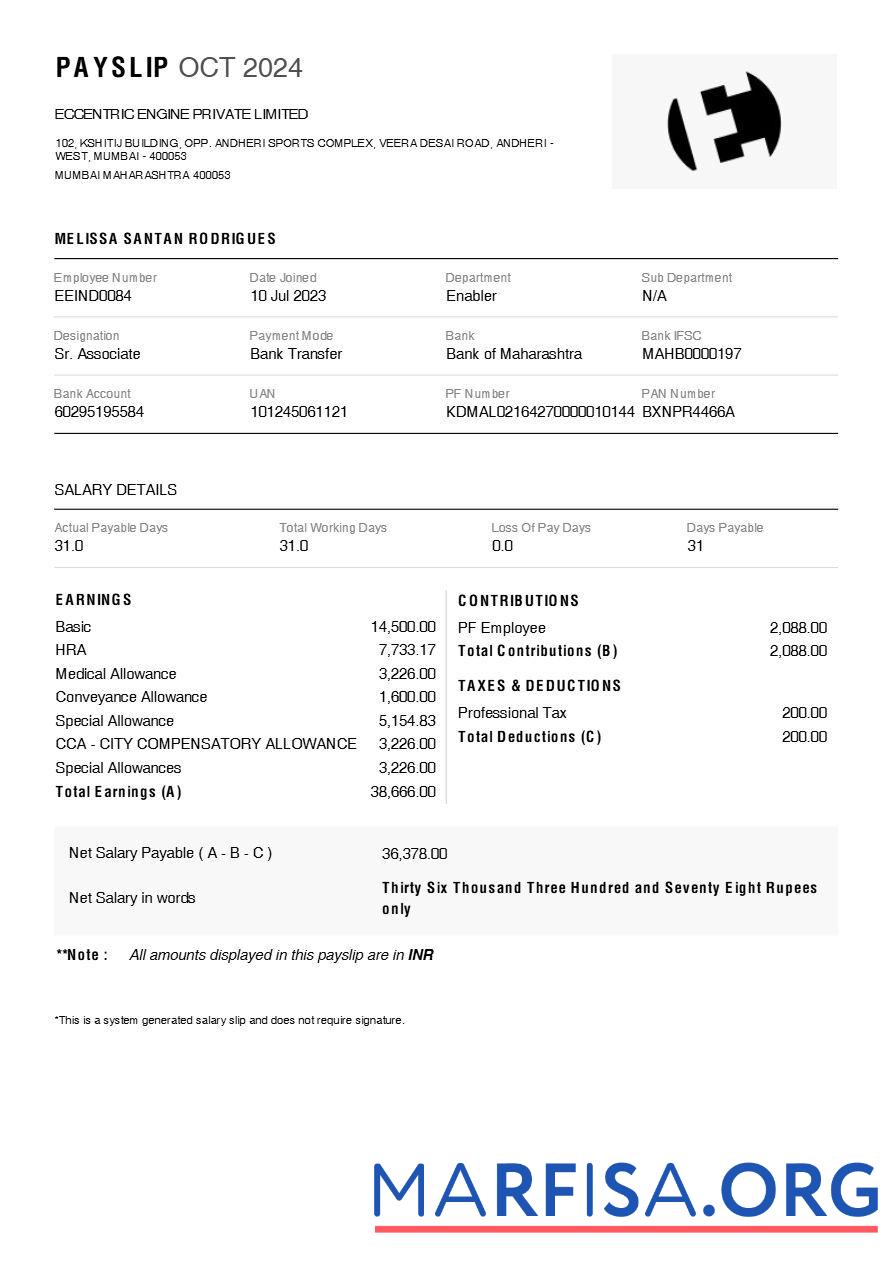 Blank Eccentric Engine payslip real example